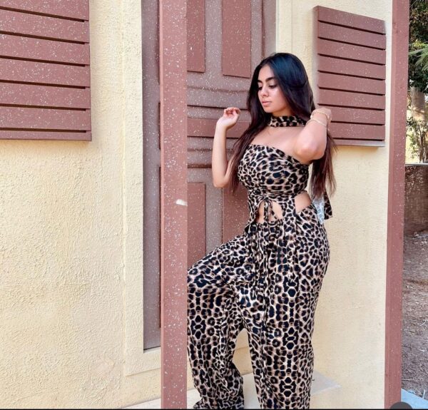 Cheetah set
